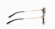 Akari - Black / Gold Glasses