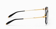 Icarus - Black / Gold Sunglasses