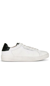 Sheer Sneaker in White & Black