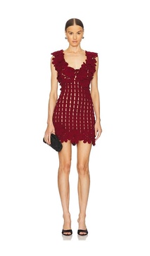 x REVOLVE Fiore Mini Dress