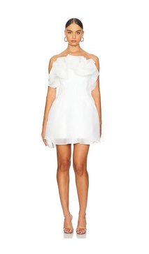 Clements Mini Dress