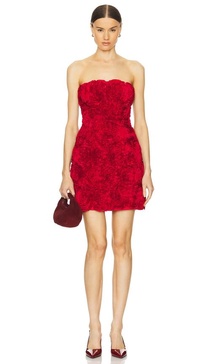 Gazer Rosette Mini Dress