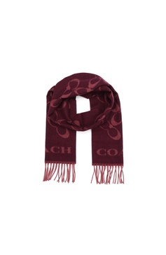 Coach womens Bias Signature C Muffler