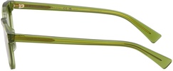 Green Panthos Sunglasses