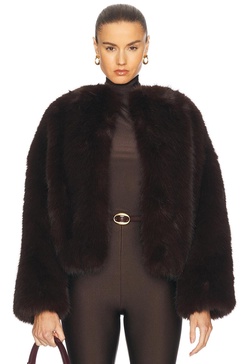 Taylor Jacket