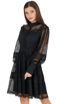 melvina lace mini dress long sleeve