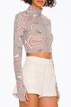 micaela cropped power mesh turtleneck top in pastel geo
