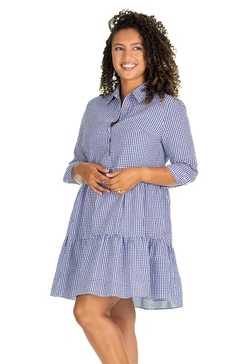 the murphy dress in navy gingham