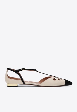 Camille Pointed-Toe Flats