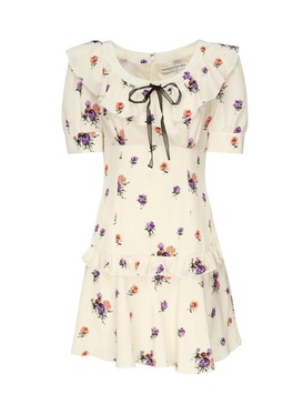 Rose Printed Mini Dress