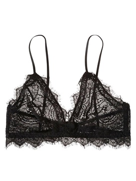 Triangle Cup Sheer Lace Bra