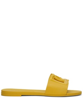 DG rubber slides