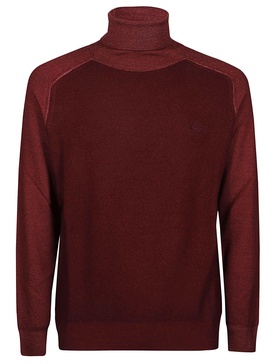 Raglan Sleeves Turtle Neck Sweater