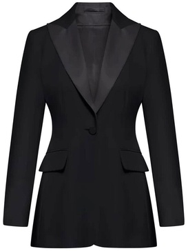 Max Mara Pliny Clothing