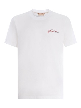 T-Shirt  In Cotton