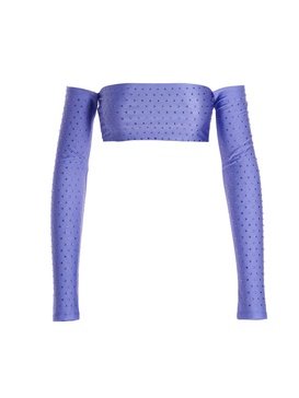 Crystal Cropped Top Tops Purple