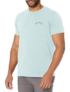 Billabong Men's Wave Washed Short Sleeve Premium Logo Graphic Tee