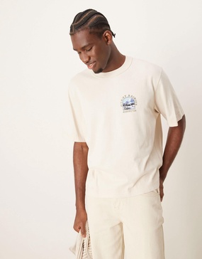Abercrombie & Fitch National Parks Mount Rainer back print crop T-shirt in moonbeam