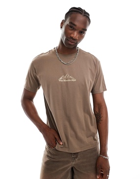 Another Influence mountain range slogan boxy t-shirt in washed tan