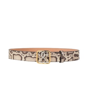 Regular belt
