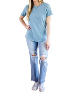 cardinal short sleeve tee in blue grey