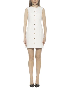 Alexia Admor Bridgette Shirtdress