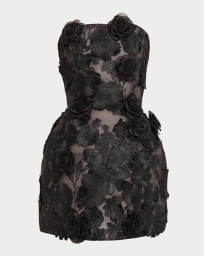 Jasmine Maraya Embroidered Corset Mini Dress
