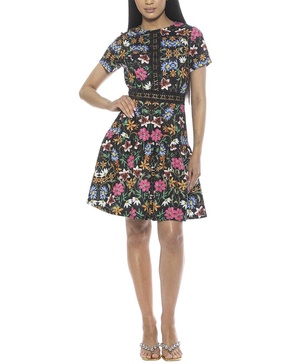 Alexia Admor Calexa A-Line Dress