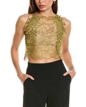 Alberta Ferretti Lace Top