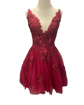 lace applique mini dress in claret