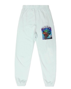 take the high road sweatpants in teal