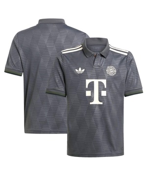 Big Boys and Girls Gray Bayern Munich 2024/25 Wiesn Replica Jersey