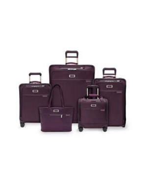 Baseline Plum Collection