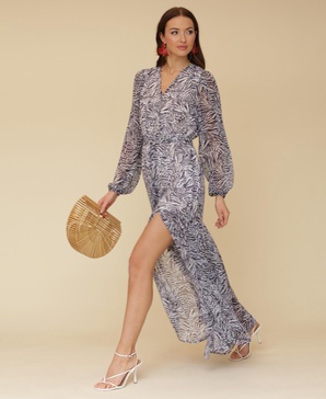 Women's Printed Chiffon Maxi Dress