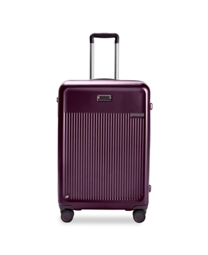 27" Sympatico Medium Expandable Spinner