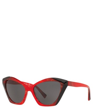 Sunglasses 5056 SOLE