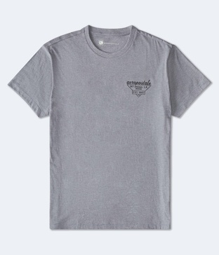 triangle logo graphic tee