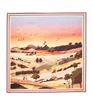 Silk Printed Scarf