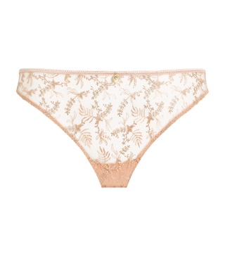 Italian Briefs