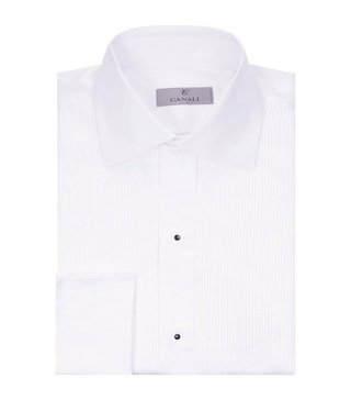Pleated Cotton Shirt