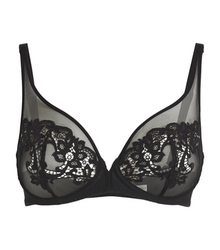 Embroidered Saga Plunge Bra