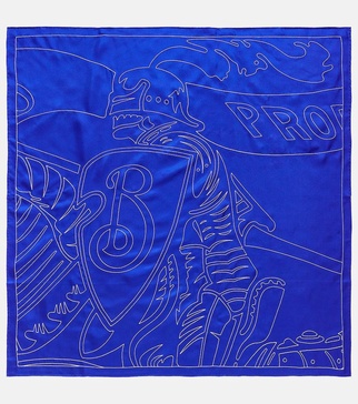 EKD silk scarf