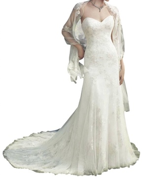 lace appliqué a-line gown in ivory/ivory/silver