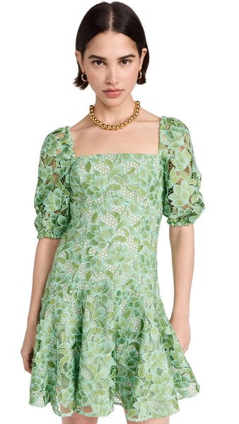 Shoshanna Women's Layne Garden Lace Mini Dress