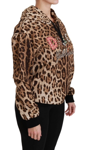Dolce & Gabbana  Brown Hooded Studded Ayers Leopard Sweater