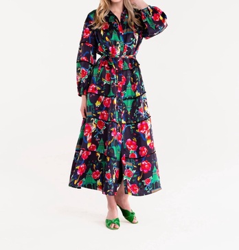 renee maxi dress in multi-color