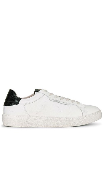 Sheer Sneaker in White & Black