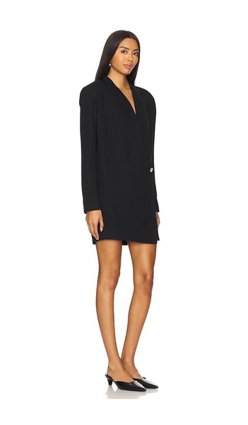 Venice Mini Dress