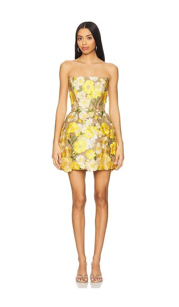 Jasmine Maraya Mini Dress