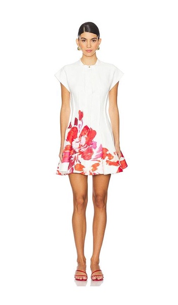 Chapelhill Mini Dress
